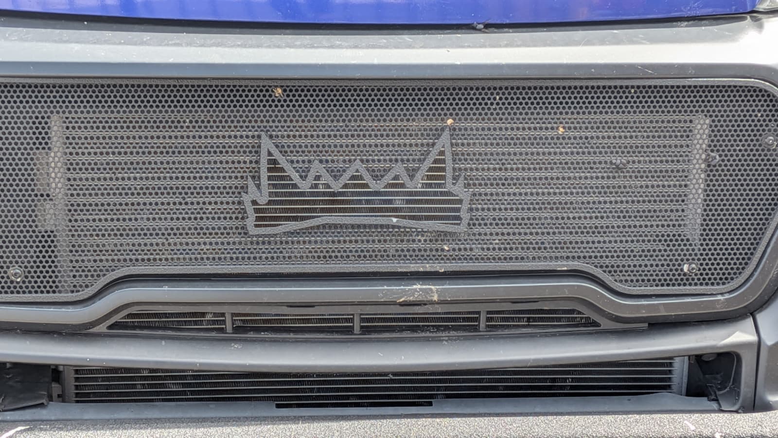 Gorilla Energy branded van grille